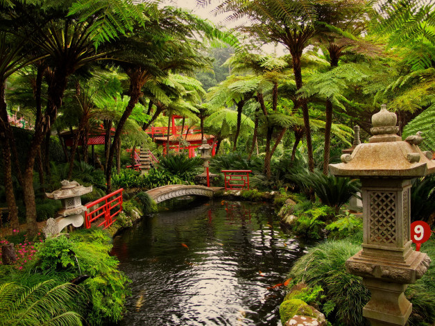 Обои картинки фото португалия, madeira, фуншал, ботанический, сад, природа, парк