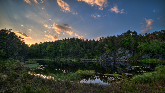 Обои картинки фото природа, реки, озера, озеро, норвегия, norway, лес, деревья, трава, пейзаж
