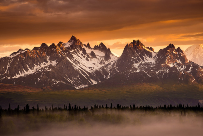 Обои картинки фото природа, горы, лес, свет, туман, снег