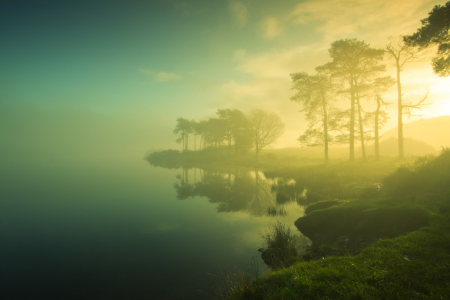 Обои картинки фото природа, реки, озера, лес, утро, берег