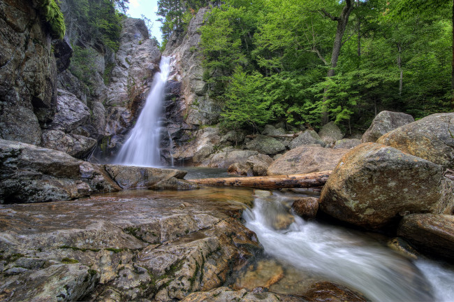 Обои картинки фото glen, ellis, falls, new, hampshire, usа, природа, водопады, водопад, лес