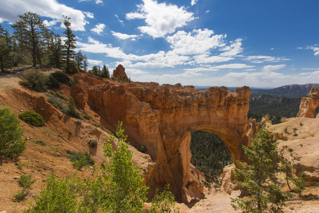 Обои картинки фото zion, national, park, utah, природа, горы