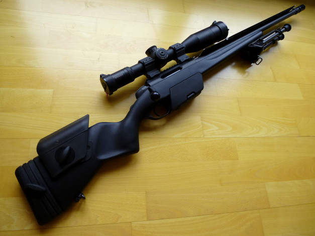 Обои картинки фото ssg 04 2, оружие, винтовки с прицеломприцелы, винтовка