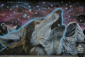 обоя разное, граффити, волк, морда, звезды, стена, graffiti, фон