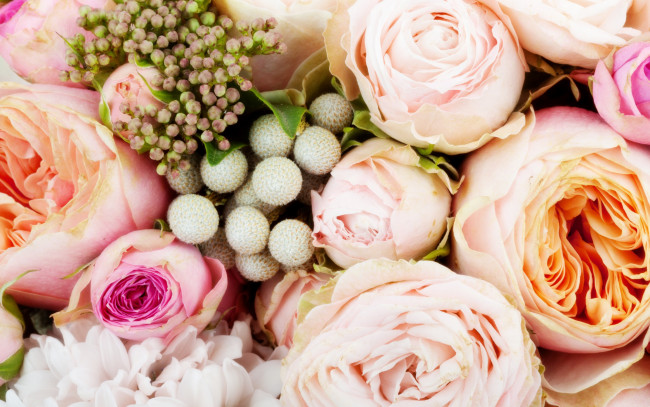 Обои картинки фото цветы, розы, roses, flowers, bouquet