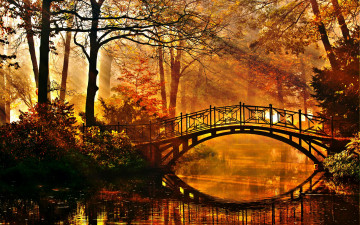 Картинка природа парк мост деревья кусты лучи солнца пруд осень