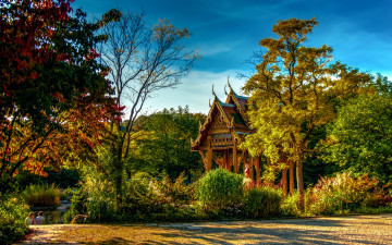 Картинка природа парк осень германия munich пруд солнечно бавария кусты sendling-westpark пагода деревья