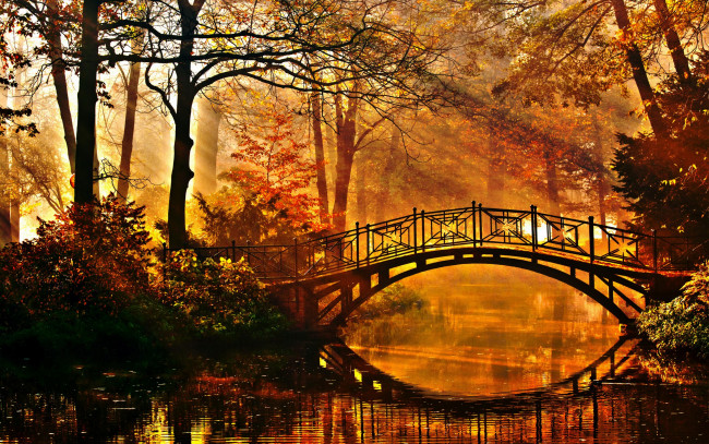 Обои картинки фото природа, парк, мост, деревья, кусты, лучи, солнца, пруд, осень