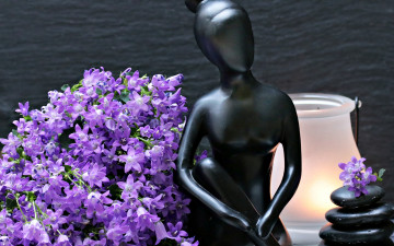 Картинка разное ракушки +кораллы +декоративные+и+spa-камни цветы статуэтка фигурка колокольчики женщина лампа камни