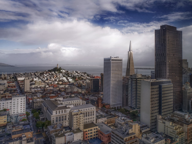 Обои картинки фото san francisco, города, сан-франциско , сша, небоскребы, панорама