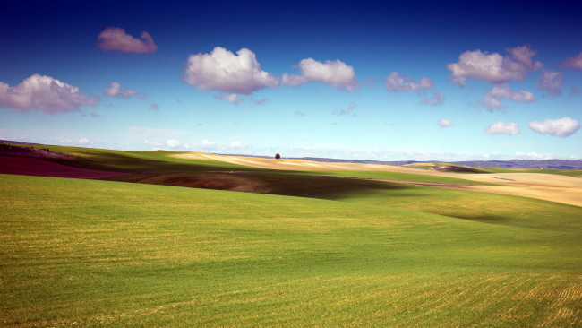 Обои картинки фото природа, поля, лето, облака, небо, бескрайнее, поле