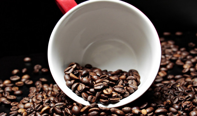 Обои картинки фото еда, кофе,  кофейные зёрна, кофейные, чашка, зерна