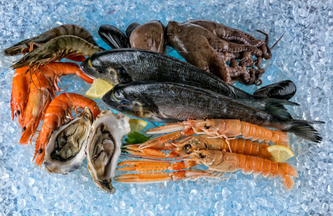 Обои картинки фото еда, рыба,  морепродукты,  суши,  роллы, креветки, осьминог, устрицы, лед