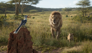 обоя кино фильмы, the lion king , 2019, the, lion, king