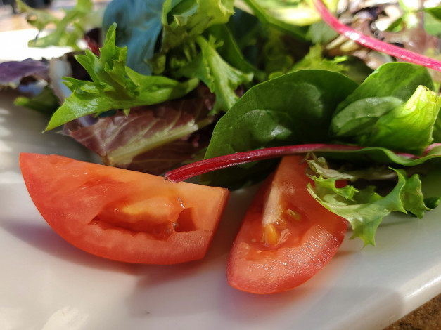 Обои картинки фото еда, салаты,  закуски, зелень, салат, помидоры