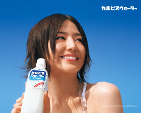 обоя calpis, бренды