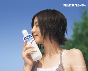 обоя calpis, бренды