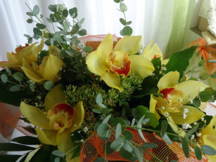 Картинка цветы букеты композиции зелень букет орхидеи