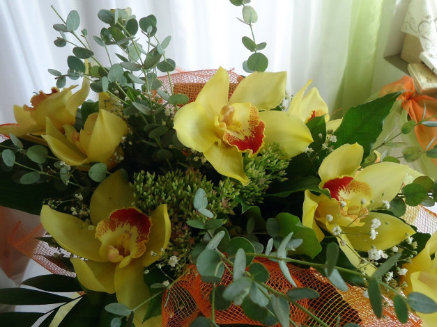 Обои картинки фото цветы, букеты, композиции, зелень, букет, орхидеи