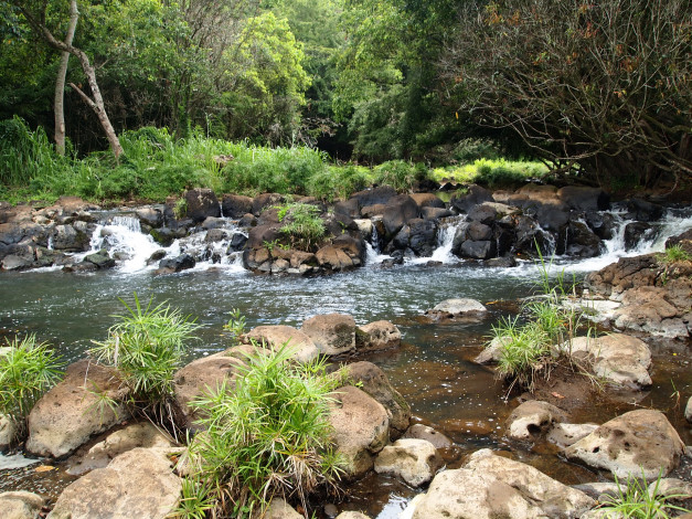 Обои картинки фото кipu, falls, limahue, botanical, gardens, hawaii, природа, парк, 