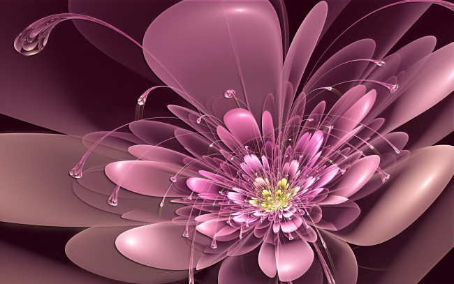 Обои картинки фото 3д, графика, flowers, цветы, лепестки, розовый, неон, цветок, усики