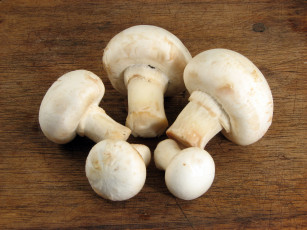 Картинка еда грибы грибные блюда шампиньоны