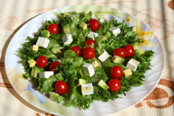 Картинка еда салаты закуски салат помидоры сыр