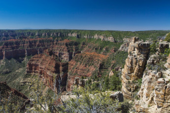 Картинка grand canyon national park arizona природа горы деревья