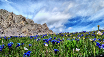Картинка природа луга луг горы облака трава цветы