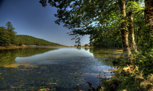 Обои картинки фото nebrodi, lago, maulazzo, природа, реки, озера, лето, водоросли, лес, река
