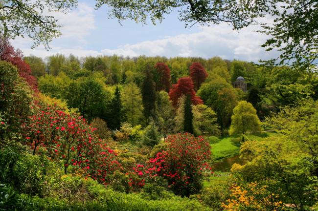 Обои картинки фото stourhead, gardens, англия, природа, парк, цветы, деревья, кусты