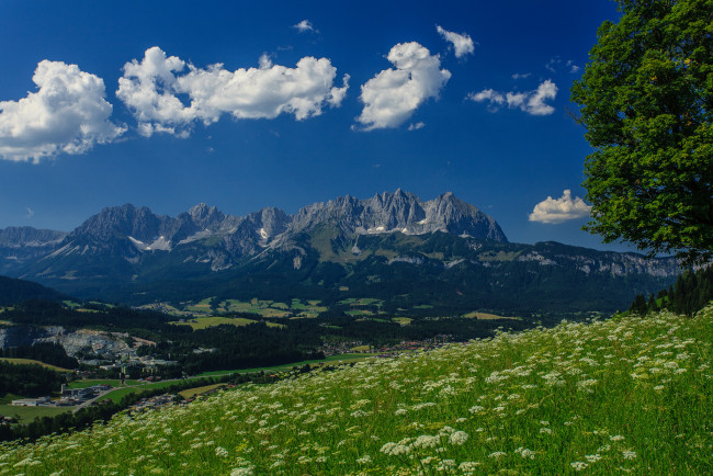 Обои картинки фото wilder, kaiser, austria, природа, горы, панорама, дерево, луг, альпы, австрия, гора, вильдер, кайзер, alps