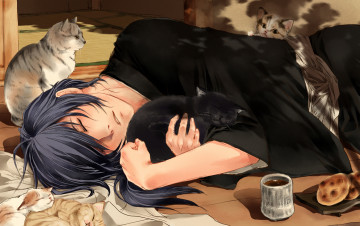 обоя аниме, hakuoki, чай, коты, спит, парень, saitou, hajime, hakuouki, shinsengumi
