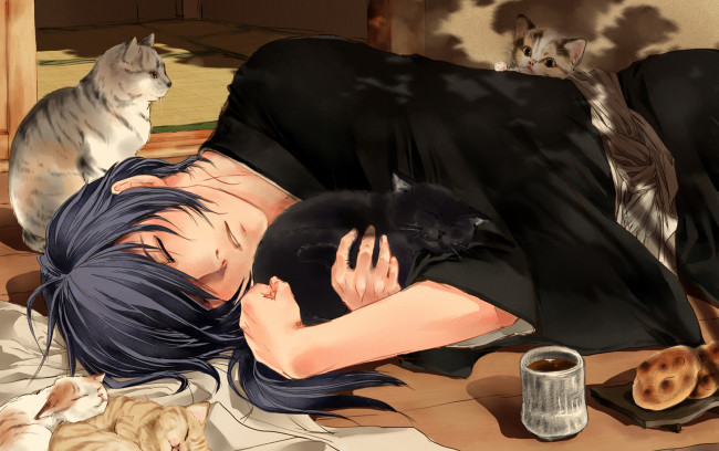 Обои картинки фото аниме, hakuoki, чай, коты, спит, парень, saitou, hajime, hakuouki, shinsengumi