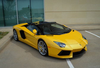 обоя lamborghini aventador roadster, автомобили, lamborghini, спорткар