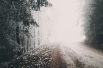Картинка природа зима туман лес дорога
