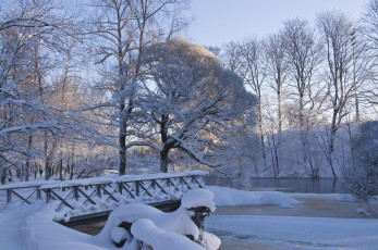 Картинка природа зима снег мороз мостик парк