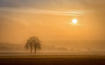 Картинка природа восходы закаты утро france rеgion alsace arbre деревья поле туман солнце