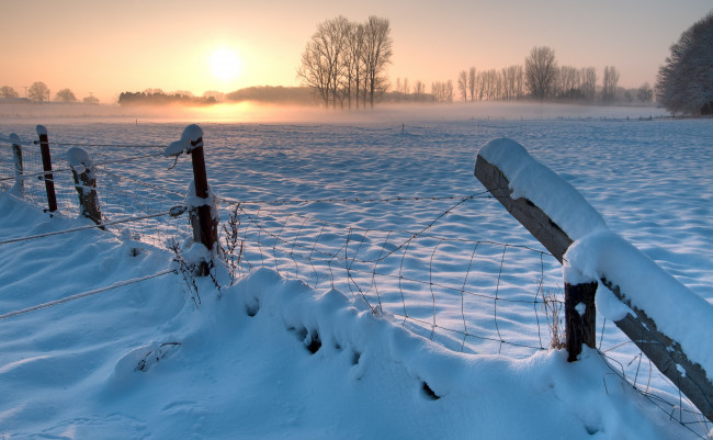 Обои картинки фото природа, зима, деревья, забор, снег, рассвет