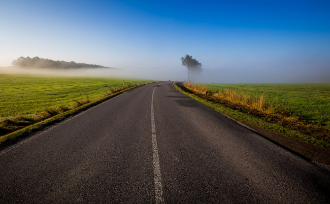 Обои картинки фото природа, дороги, небо, утро, трава, деревья, поле, туман