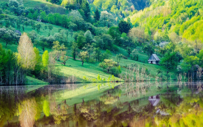 Обои картинки фото природа, реки, озера, деревья, склон, озеро, домик