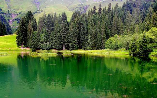 Обои картинки фото природа, реки, озера, озеро, трава, горы, деревья, верхняя, савойя, франция