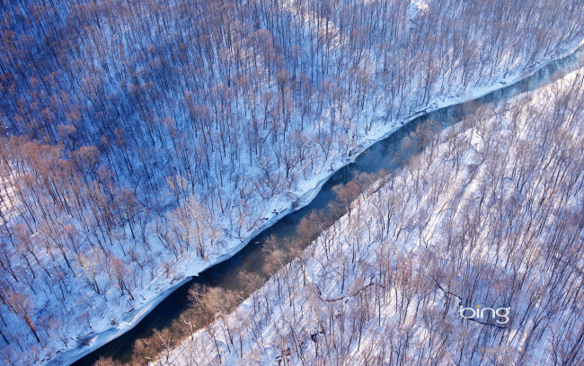 Обои картинки фото природа, зима, лес, сша, virginia, снег, река