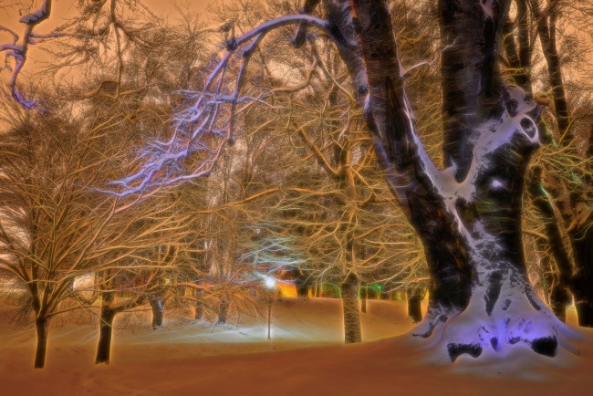Обои картинки фото разное, компьютерный дизайн, зима, деревья, снег, ветки