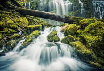 Картинка природа водопады водопад пейзаж мох камни лес