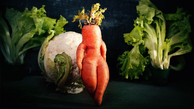 Обои картинки фото еда, овощи, капуста, морковь