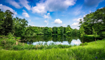Картинка природа реки озера лето пруд зелень
