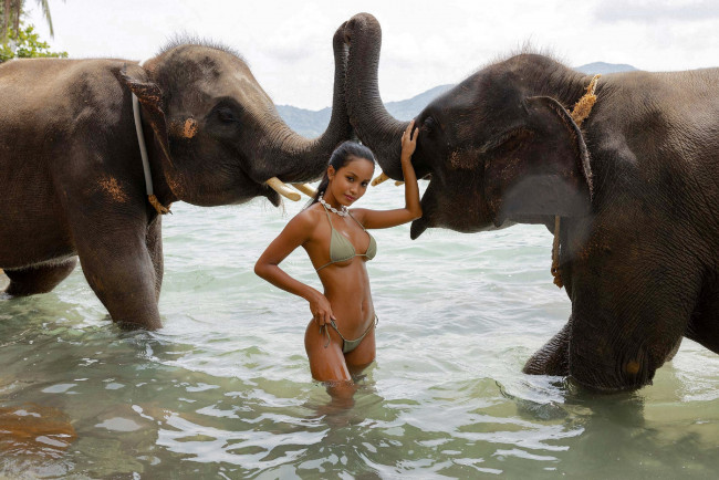 Обои картинки фото девушки, putri cinta, слоны, купальник, бикини