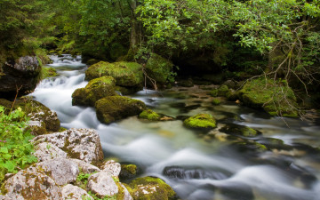 Картинка природа реки озера река камни лес