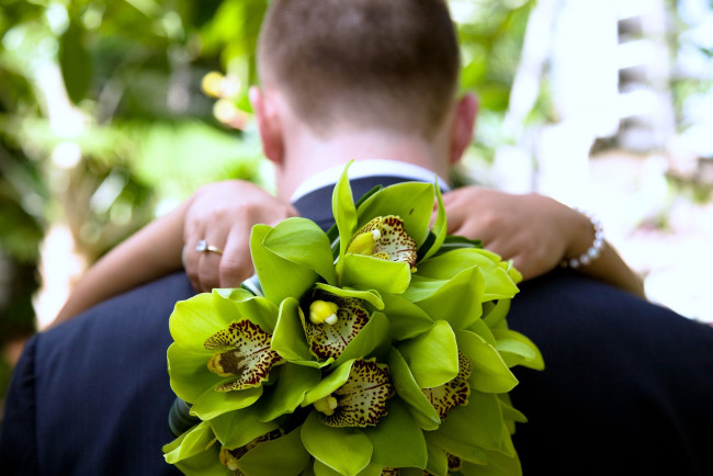 Обои картинки фото цветы, орхидеи, зеленый, жених, невеста